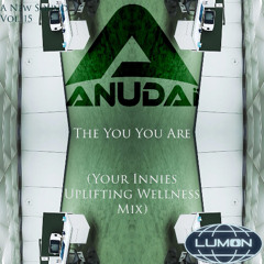 The You You Are (Your Innies Uplifting Wellness Mix) - A New Sound Vol. 15