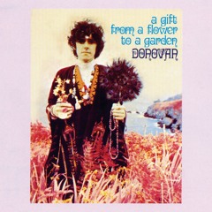 Donovan - The Lullaby of Spring (Guitar Cover)