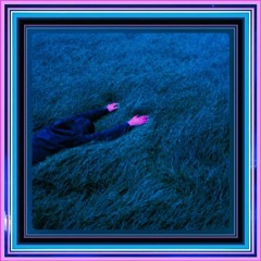 WM🪰#1223🧟‍♂️🦇🦉🥷🫥🐜🪳🕷️🕸️🦟