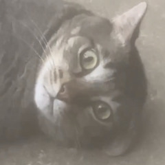 tear your light (demo)