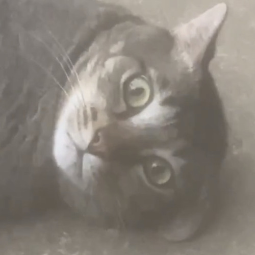 tear your light (demo)