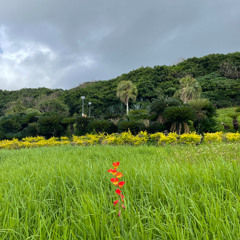 Vasya Saiko for @kalkul , Tokyo 15.08.25