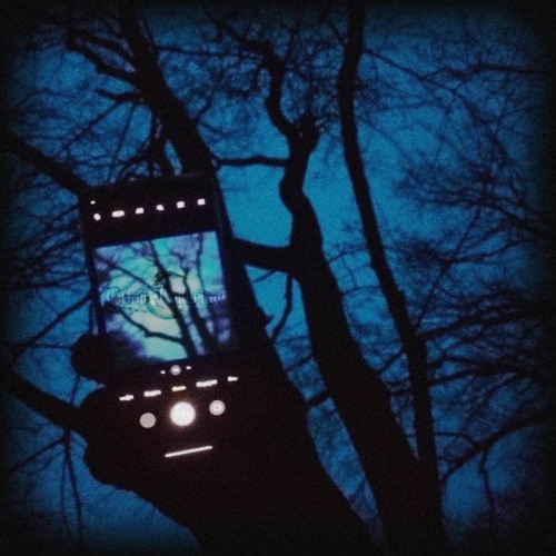Autumn Samples 2024 (feat. DG Beats)