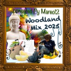 woodlandstepps_woodlandmix_2025_hosted_by_mareo.mp3