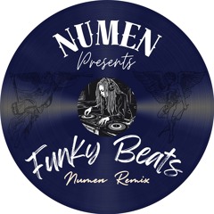 Funky Beats (Numen Remix)