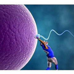 slapped her ass like odel