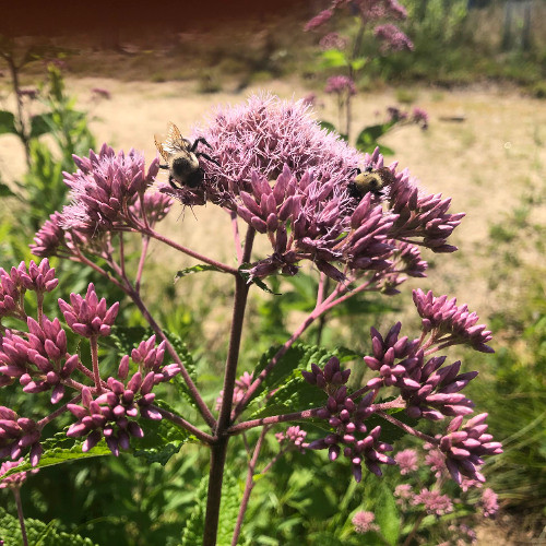 rollin up (@strscream)