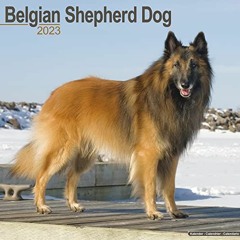 [GET] KINDLE PDF EBOOK EPUB Belgian Shepherd Calendar - Dog Breed Calendars - 2022 -