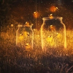 Jar Of Fireflies (Watch the Video)(Free Download)