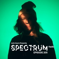 Spectrum Radio 205 by JORIS VOORN