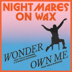 Wonder (feat. Haile Supreme & Shabaka Hutchings)