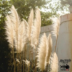 @ CASA DA PAZ [MIXED & SELECT BY: WILLIAN GROOVE]