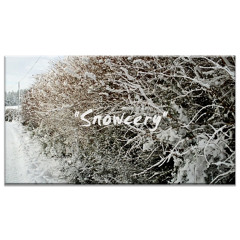 Snowcery Soundtrack