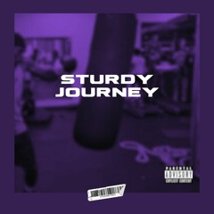 Sturdy Journey (prod. Pressa)