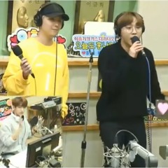 SeungKwan & HongKi - Wind[COVER]