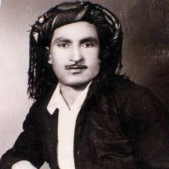 hasan zirak_امسال بهارمان به بی بارانه_حسن زیرک