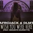 Afrojack, DLMT feat. Brandyn Burnette - Wish You Were Here (feat. Brandyn Burnette) (Raccoon Killer Remix)