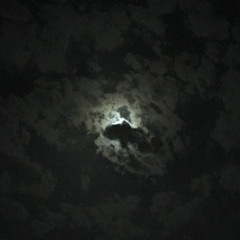 ‎⁨مانيل المطالب بالتمني|محمد بن عبدالرحمن⁩