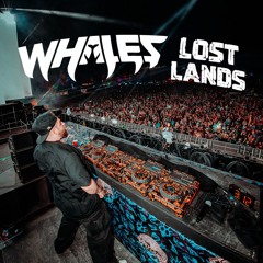 WHALES LOST LANDS 2025 MIX