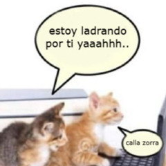 ladridos de un borzoi @edward-901529125