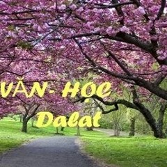 Hợp Ca VIỆT NAM-VIỆT NAM