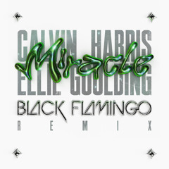 MIRACLE(BLACK FLAMINGO  REMIX)- CALVIN HARRIS  & ELLIE GOOLDING