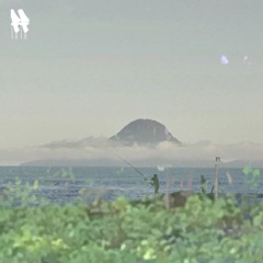 And when he had thus spoken, he went before, ascending up to Jerusalem.