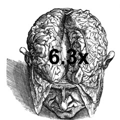 6.3x