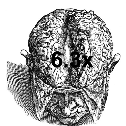 6.3x