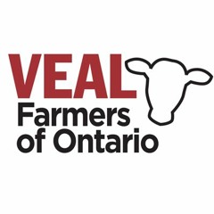 The Healthy Calf Podcast | Managing Calves To Prevent Disease