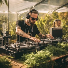 [ BODISHI ] WHO SAID ONLY TECHNO IN GEORGIA ?