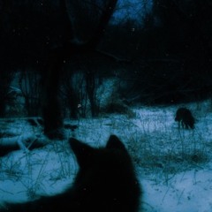 im way too Insouciant to be living (9lives)