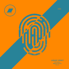 Liquid Spirit ( Eric Faria & Miguel Soares Remix)_(exclusive bandcamp)