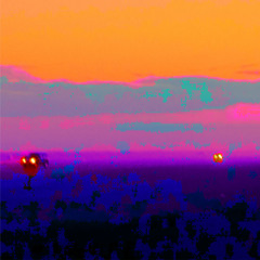 VIOLET HAZE