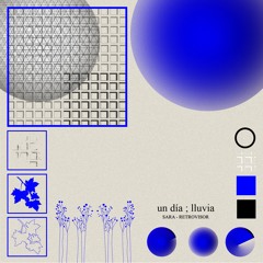 una caminata por un parque en viña del mar