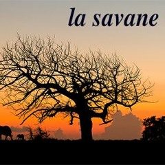 La Savane