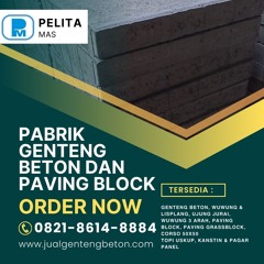 Paving Block Topi Uskup untuk Penghias Taman Modern Anda