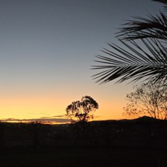 The Bark (Instrumental)