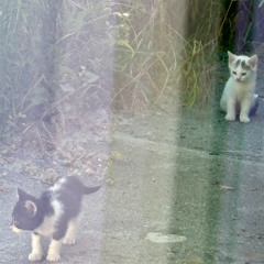 this is all there is