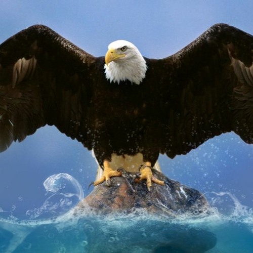 Eagle 2023