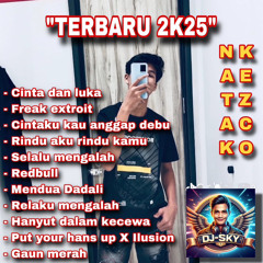 DJ SKY OFFICIAL • CINTA DAN LUKA X CINTAKU KAU ANGGAP DEBU • FUNKOT FYP TIKTOK 2K25