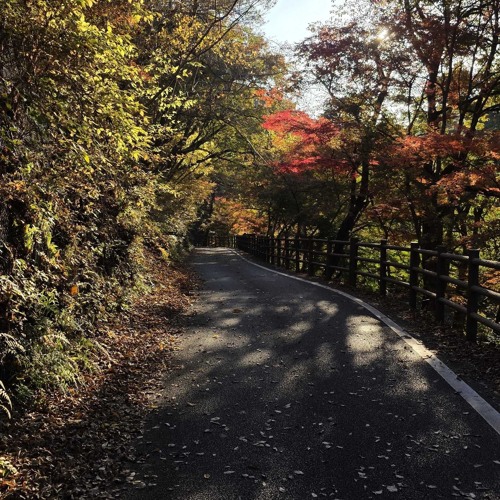 Will you wait for me?