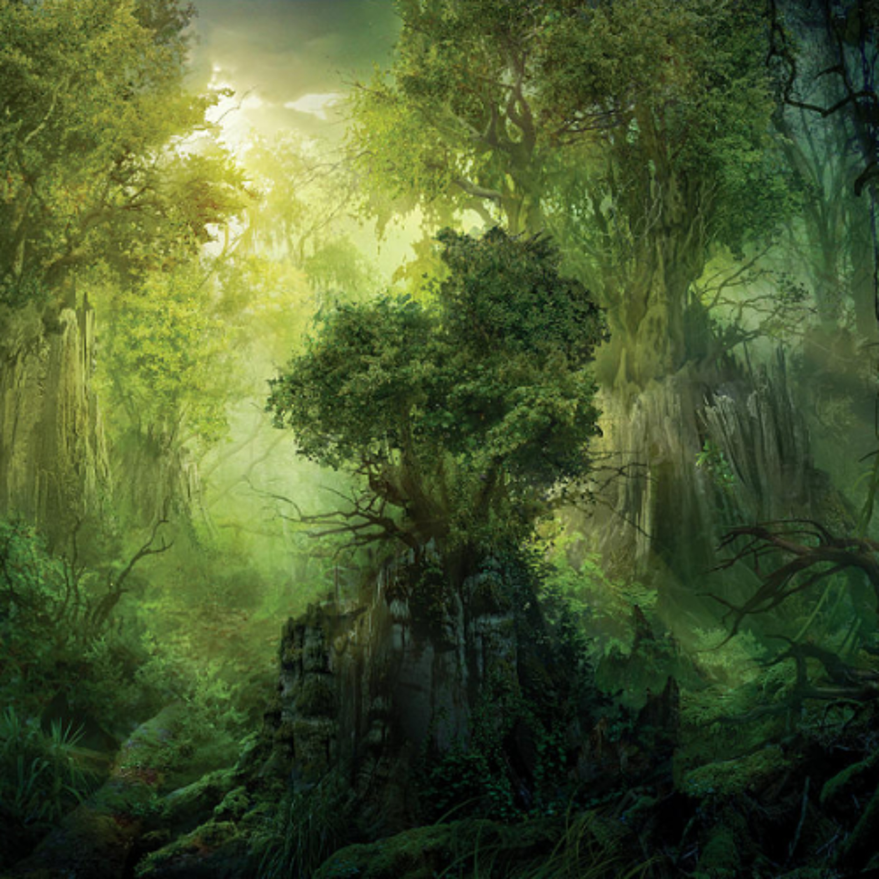 Whispers of the Forest episode artwork