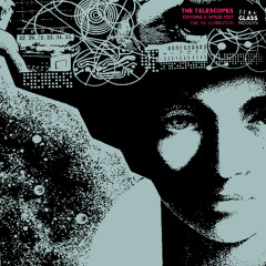 The Telescopes - Editions ll - 03 - The Perfect Needle