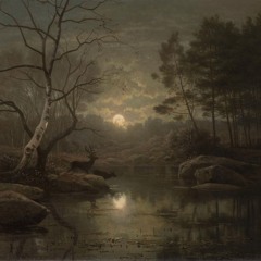Pulse of the Forgotten Wood