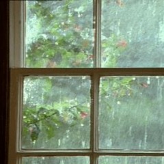 Rainy Morning