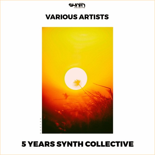 Various Artists - 5 Years Synth Collective