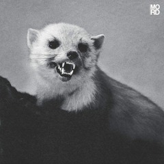 Hypnotic Techno