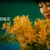 Artwork for Emilie Simon_DESERT(ES)_remix_osmoart(PB)