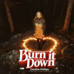 Burn It Down